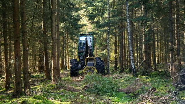 FCI calls for ban on import of European forestry machines