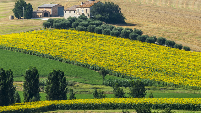 EU approves €90m Italian scheme to reorganise agri supply chains