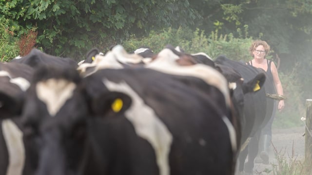 Meet the Cork farmers who volunteer as drivers for cancer patients