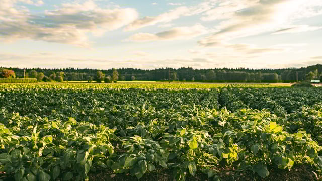 Latest Food Vision 2030 dashboard has focus on 'sustainability' indicators
