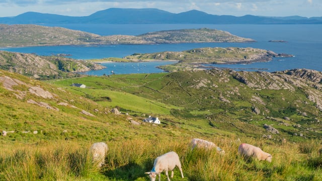 Muir launches public consultation on Co. Derry remediation project