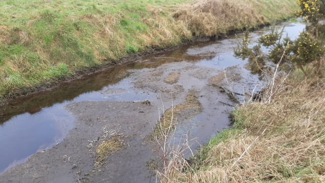 Cheese maker ordered to pay fines for slurry pollution of Co. Tipperary river