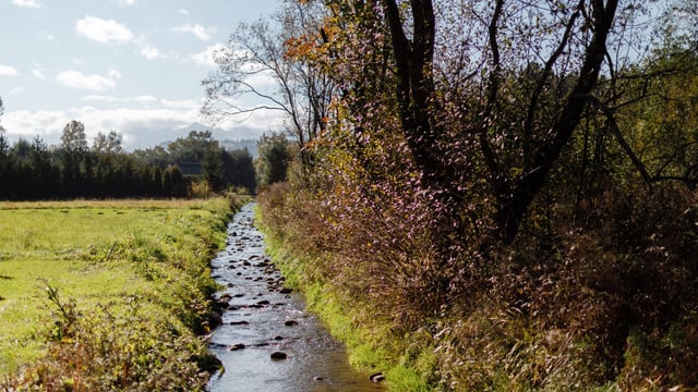 Could an 'emissions trading scheme' approach help improve Irish water quality?