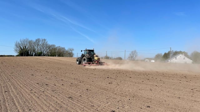 Sowing red clover on beef farms to grow high-protein feed