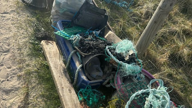 Dead dog found in Donegal clothing bank amid fears for dumping on farms