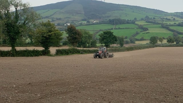 Reminder: Availing of €300/ha reseeding scheme