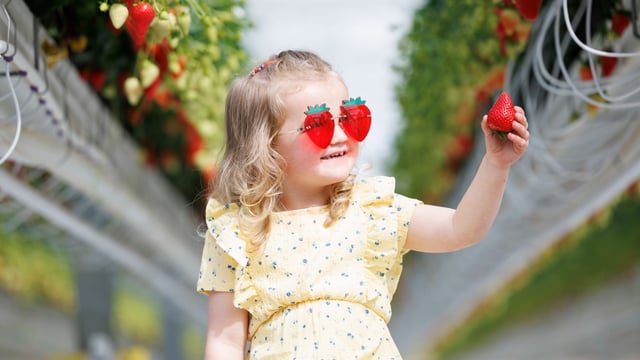 ALDI extends strawberry partnership with Sunglow Nurseries