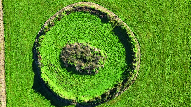 'The stories of those who dare to touch a fairy fort are frightening'