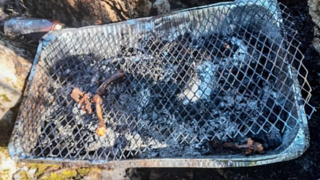 Fire in Killarney National Park started by disposable barbeque