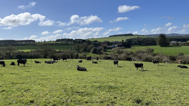 River Blackwater Catchment Series: Nutrient balance driving profit