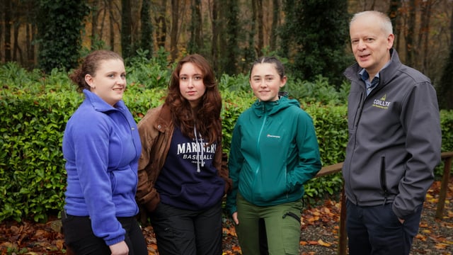 Deadline nears for Coillte 2025 forestry scholarship