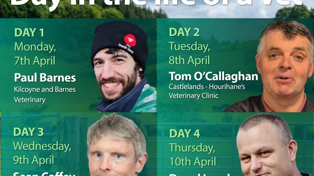 New 'day in the life' series follows vets amid busy farming period