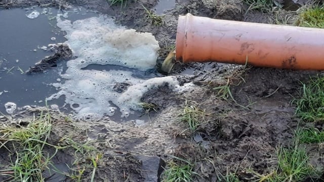 IFI prosecutes farming firm for 'polluting' Co. Mayo river