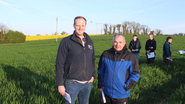 Foliar nitrogen has future role as fertiliser of choice - crops specialist