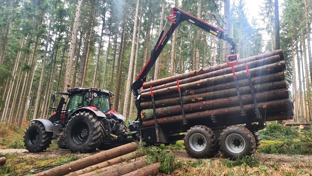 Horsch partners with Gepima in new forestry venture
