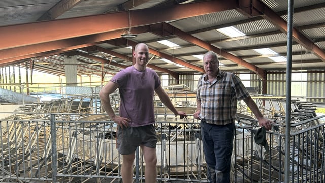 Dairy Focus: Fertility &amp; grass efficiency driving solids in Galway