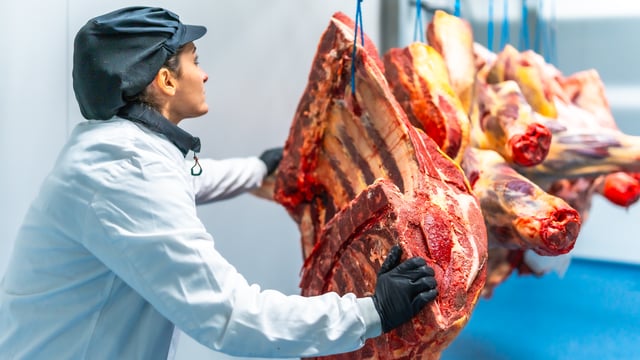 Report: Increase in value of food and live animals exports in February