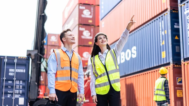New 'bespoke team' set up to support Irish exporters