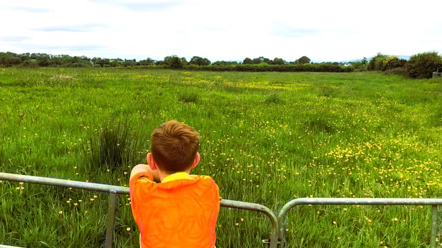 Warmer temperatures and erratic rainfall 'taking a toll' on NI farmers - research 
