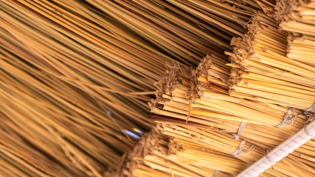 Grants launched to reverse 'loss' of historic thatch in Co. Donegal