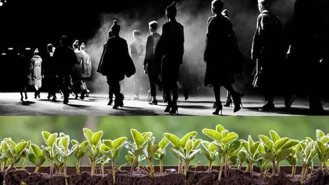Kinsale gears up for Fashion &amp; Farming Festival