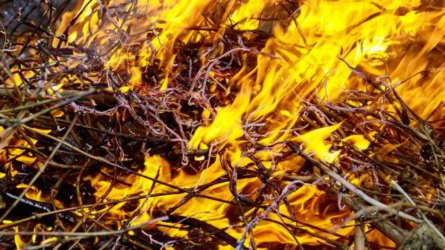 Achill Island farmers call for immediate action on wildfires