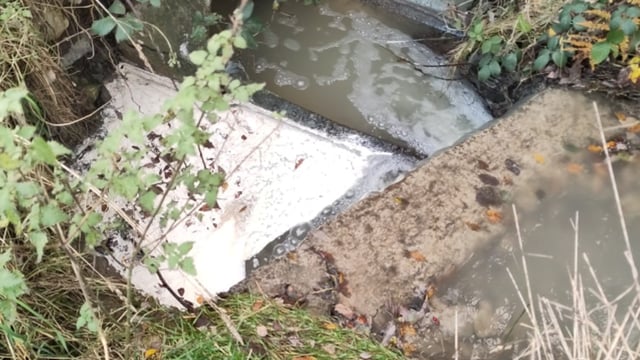 Co-op to pay €15,000 in legal costs following river 'pollution' incident