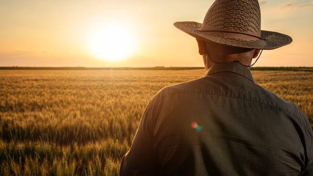 Farmers urged to be 'sun smart' over coming months