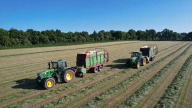 How to achieve a 75-80% DMD silage for your winter milking herd