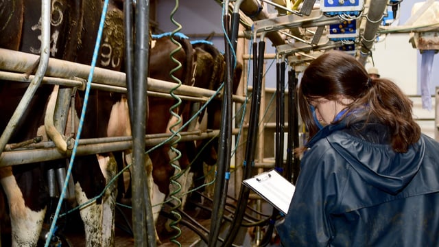 Next phase of €26.2m VistaMilk Research Ireland Centre launched