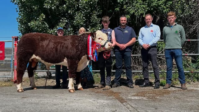 Hereford bulls sell to top price of €6,100 at Nenagh sale