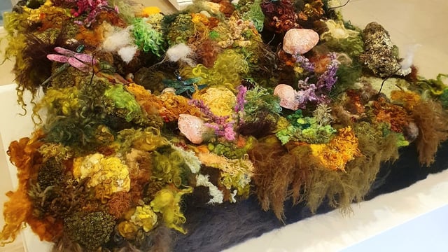 Irish Grown Wool Council 'bringing the bog' to Bloom