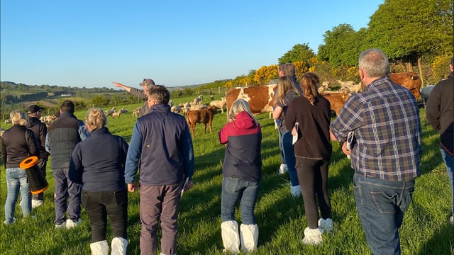 New beef farmer networking events kick off in south-east