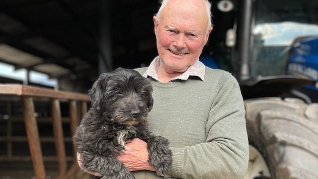 Finding missing Westie 'better than winning the lottery' for farmer