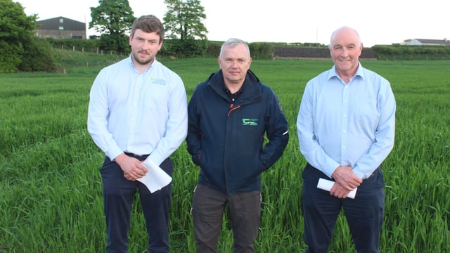 50:50 nitrogen fertiliser split best for oat crops - agronomist