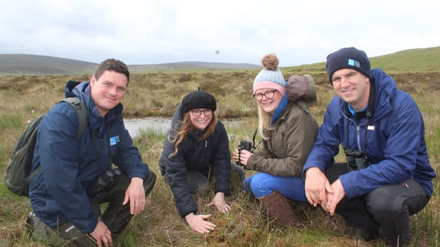 The importance of bog land restoration in NI highlighted