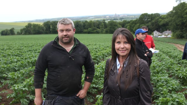 Threat of fungicide resistance within Irish blight populations remains