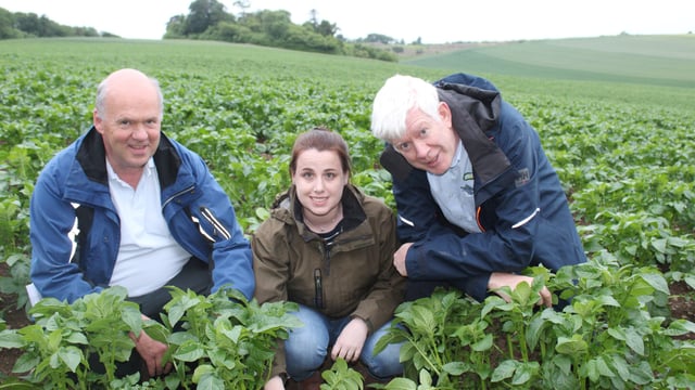 Growers discuss control of potato blight in Ireland