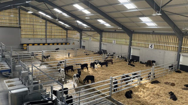 Research update from new UCD calf-rearing facility