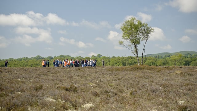 Watch: The transformation of peatlands on a farm in Co. Offaly