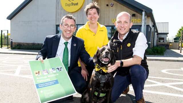 NI minister proposes 'radical' plan on animal welfare