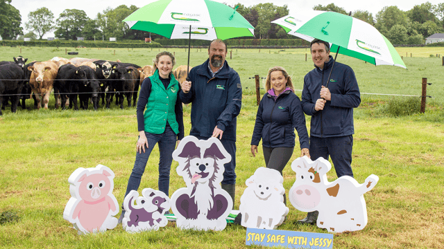 Primary school art competition to promote farm safety