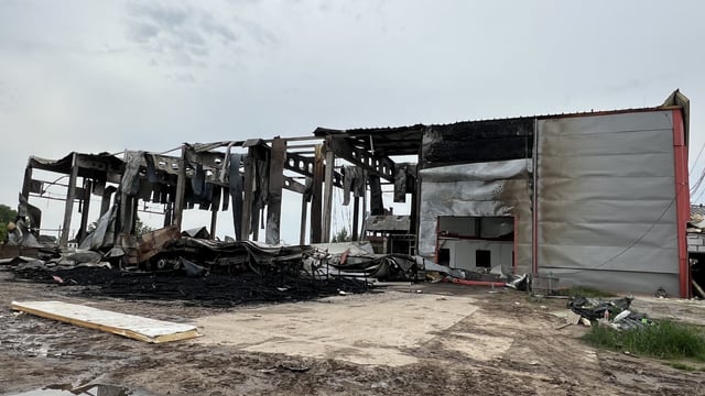 Video: Ukrainian Agri Council - cattle killed and farms destroyed