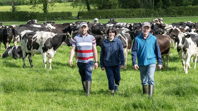 'Dairying at Dusk' evening walk to be held on award-winning farm