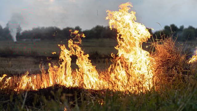 Orange warning issued for forest fire danger this weekend