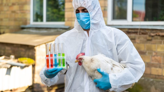WOAH report: Infectious animal diseases affecting new areas and species