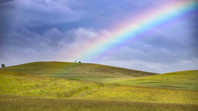 EPA: Agriculture GHG emissions down 1.7% in 2024