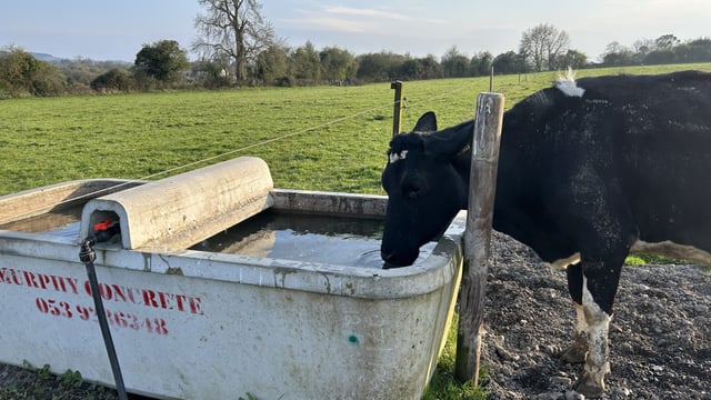 Are your troughs sufficient for the warm weather?
