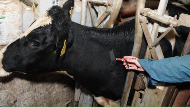 DAFM confirms rollout of backdated TB balancing payments