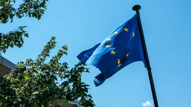 ICMSA claims commission's Dublin briefing on Mercosur was 'worse than useless'